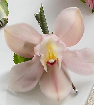 The Pink Cymbidium Boutonniere