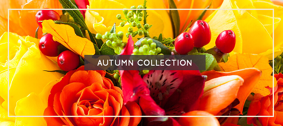 Autumn / Fall